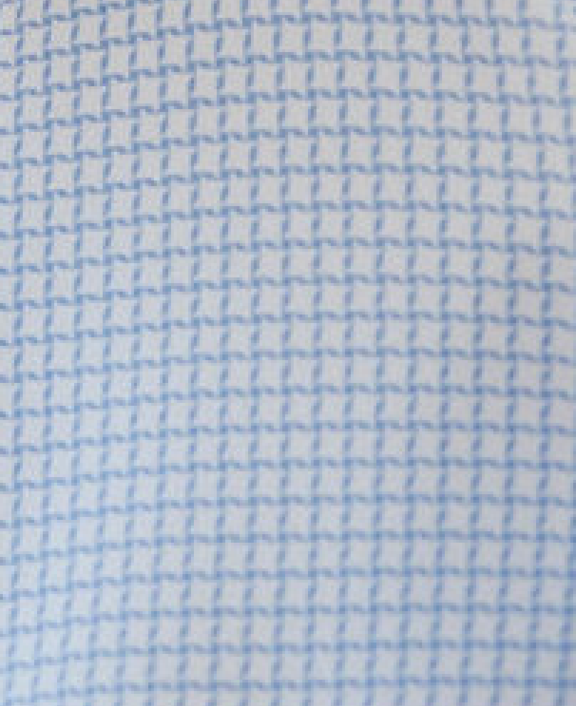 JD Buck Blue Mini Check Short Sleeve Shirt