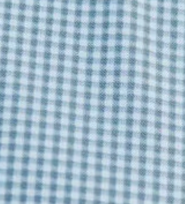 JD Buck Grey Check SS Shirt
